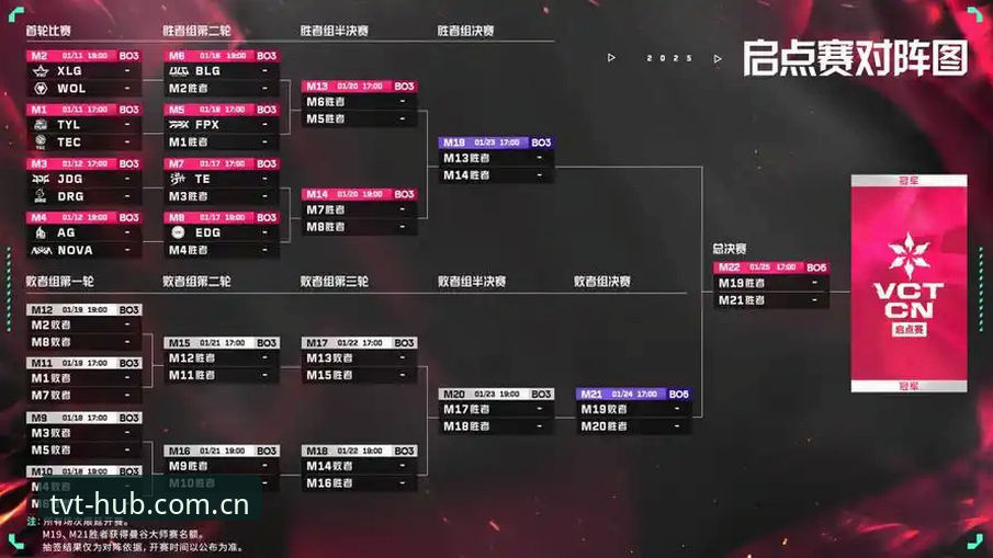TVT体育平台使用教程：从赛程推送到APP下载，一次讲透